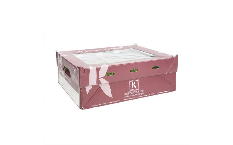 Amaranth Living Cress