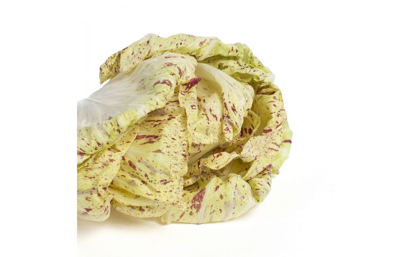 California Castelfranco Radicchio