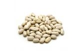 Dried Cannellini Beans