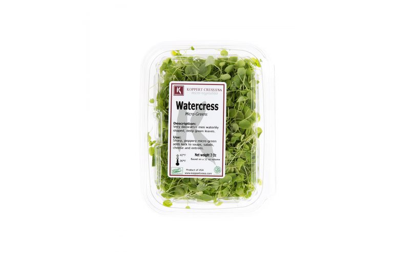 Micro Watercress