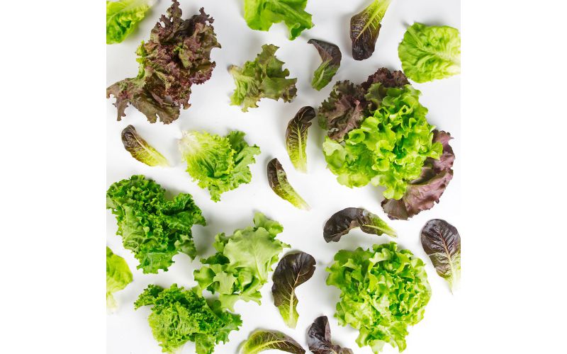 Baby Lettuce Mix