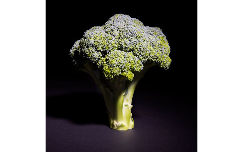 Organic Broccoli