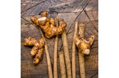 Burdock Root