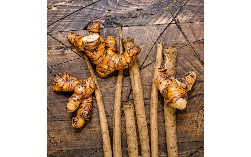 Galanga / Galangal Root