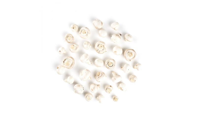#1 Grade White Medium Mushrooms