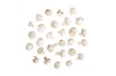 Organic Medium White Mushrooms