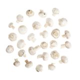 Organic Medium White Mushrooms