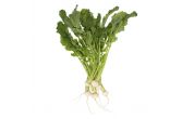 Organic Baby Hakurei Turnips