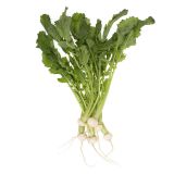 Organic Baby Hakurei Turnips