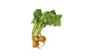Organic Cal-O Golden Beets