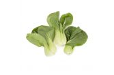 Organic Baby Bok Choy