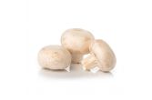 Organic White Mushroom