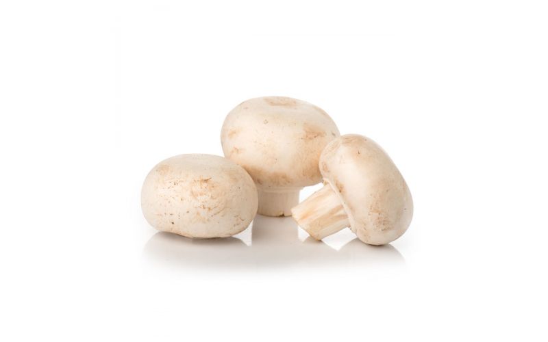 Organic White Mushroom