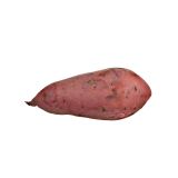 Organic Garnet Yams