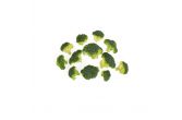 Mini Broccoli Florets