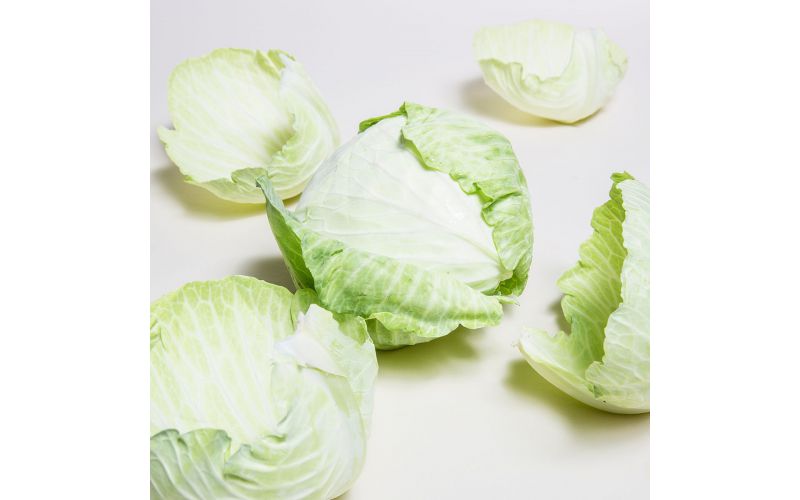 Green Cabbage