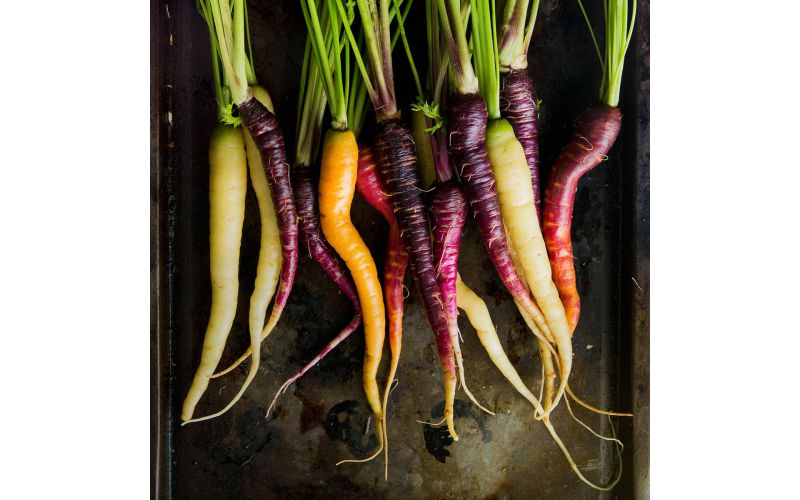 Organic Rainbow Carrot