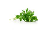 Italian Parsley