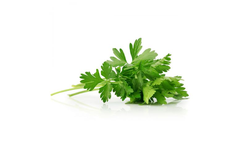 Italian Parsley