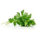Italian Parsley