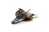 Dried Guajillo Peppers