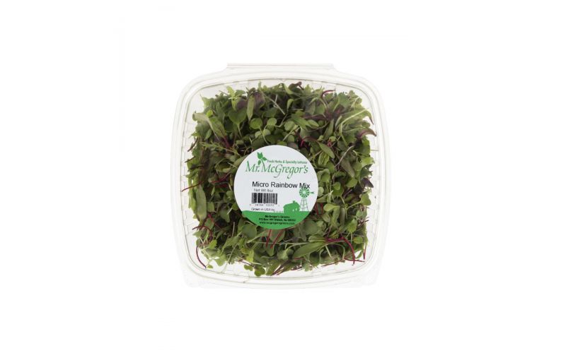 Micro Rainbow Mix