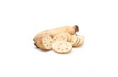 Lotus Root Case