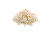Bean Sprouts