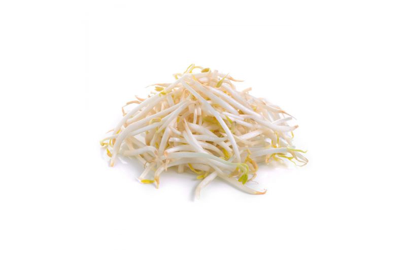 Bean Sprouts