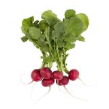 Organic Bunched Radishes