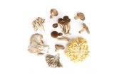 Chef Mix Mushrooms