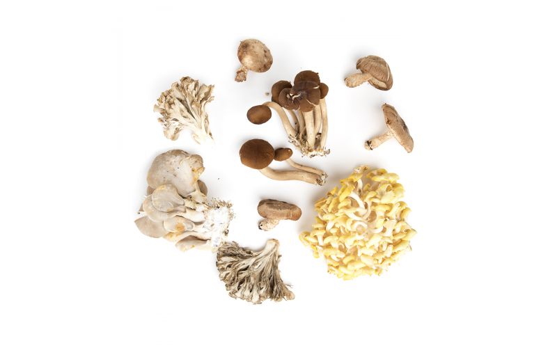 Chef Mix Mushrooms