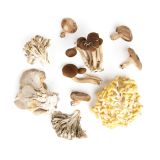 Chef Mix Mushrooms