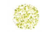 3/4in Diced Celery