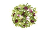 Premium Special Blend Salad Mix