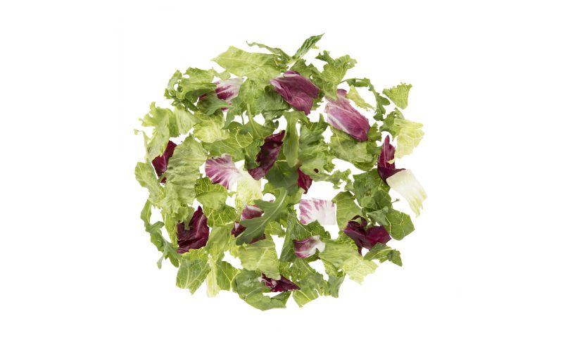 Premium Special Blend Salad Mix