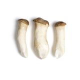 King Oyster Mushrooms