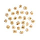 Frozen Organic Sliced Bananas