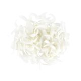 Julienne Spanish Onions