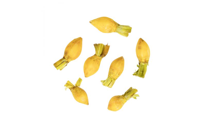 Peeled Baby Gold Beets