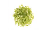 3/8in Diced Celery