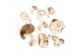 Organic Shiitake Mushrooms