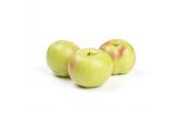 Calville Blanc Heirloom Apples
