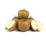 Ashmead's Kernel Heirloom Apples