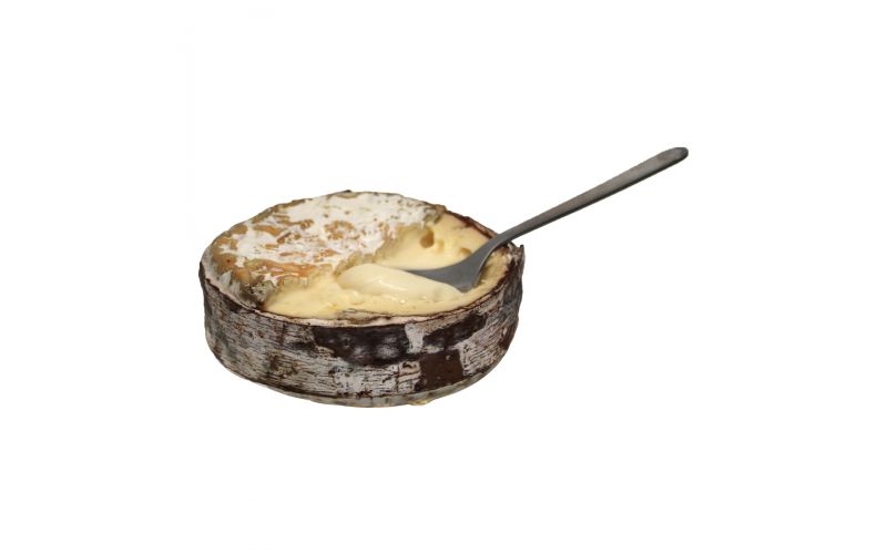 Jasper Hill Farm Harbison Cheese