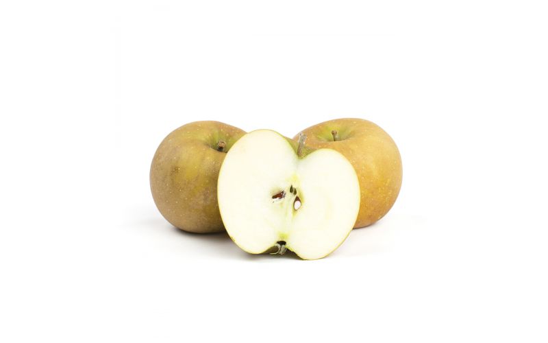 Roxbury Russet Heirloom Apples