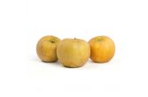 Roxbury Russet Heirloom Apples