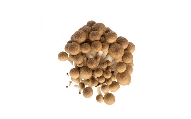 Brown Hon Shimeji Mushrooms