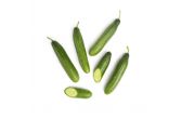 Persian Cucumbers