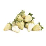 Green Unripe Strawberries